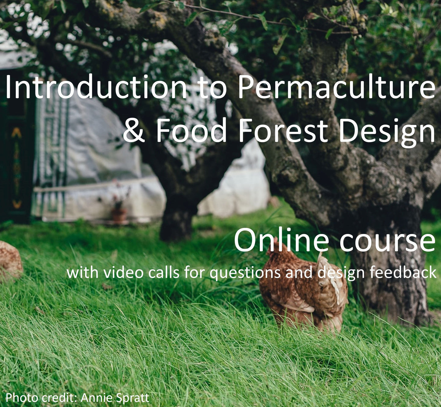 Introduction to Permaculture and Food Forest Design Course
