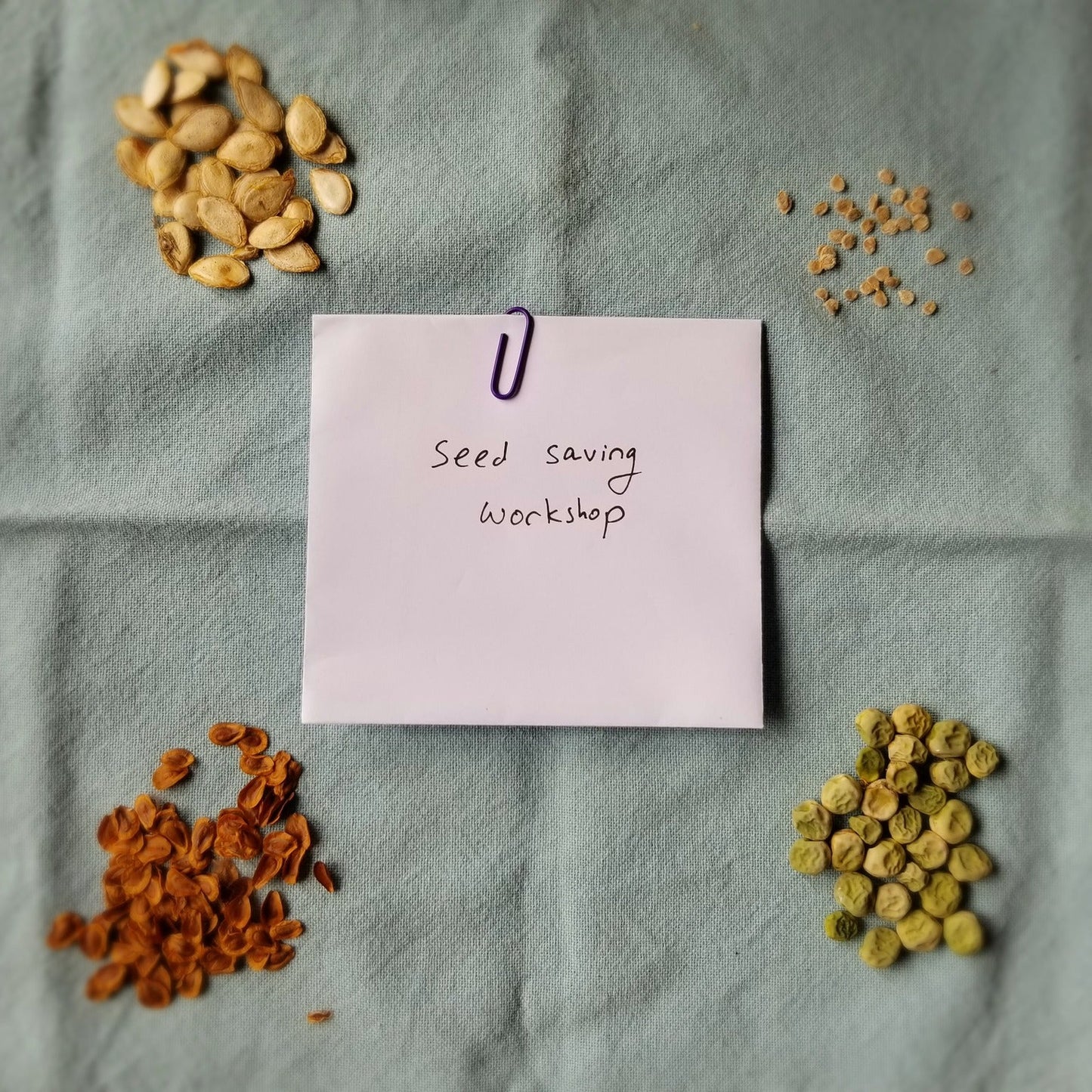 Seed Saving Workshop
