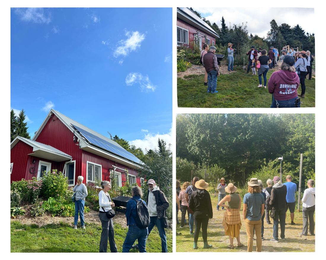 The NB Food Forest Tours