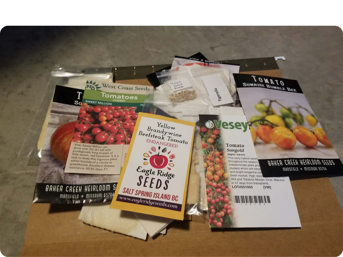 Organizing seed packets