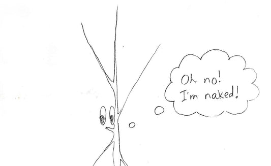 Bare-root trees and bushes