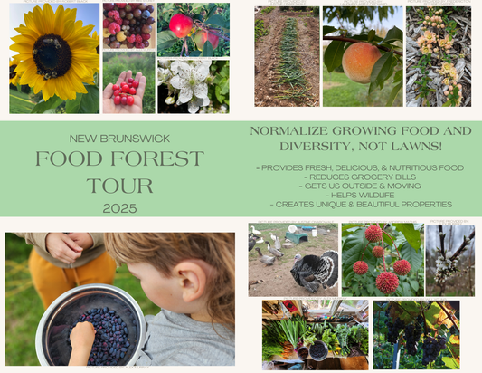 Food forest tours - 2025