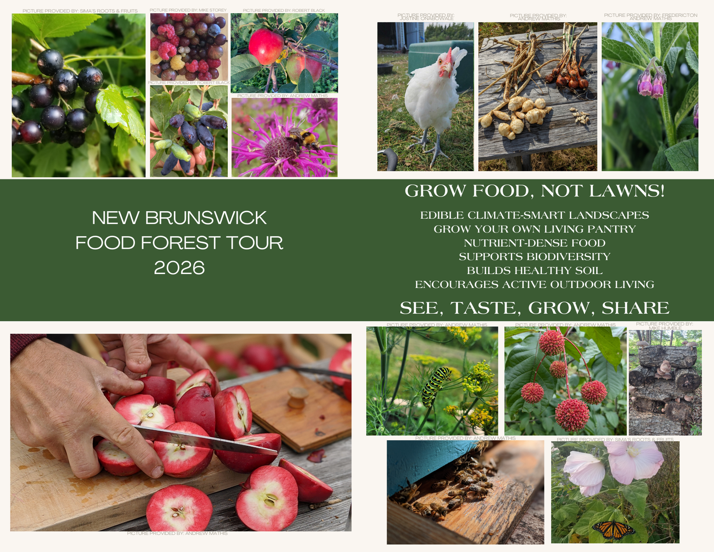 Food forest tours