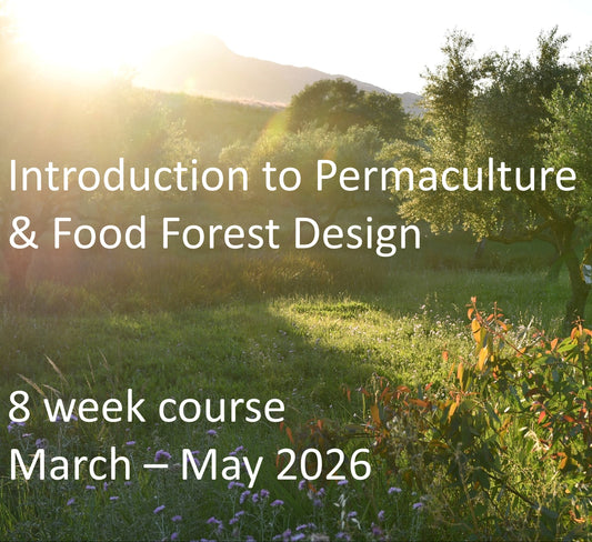 Introduction to Permaculture and Food Forest Design Course