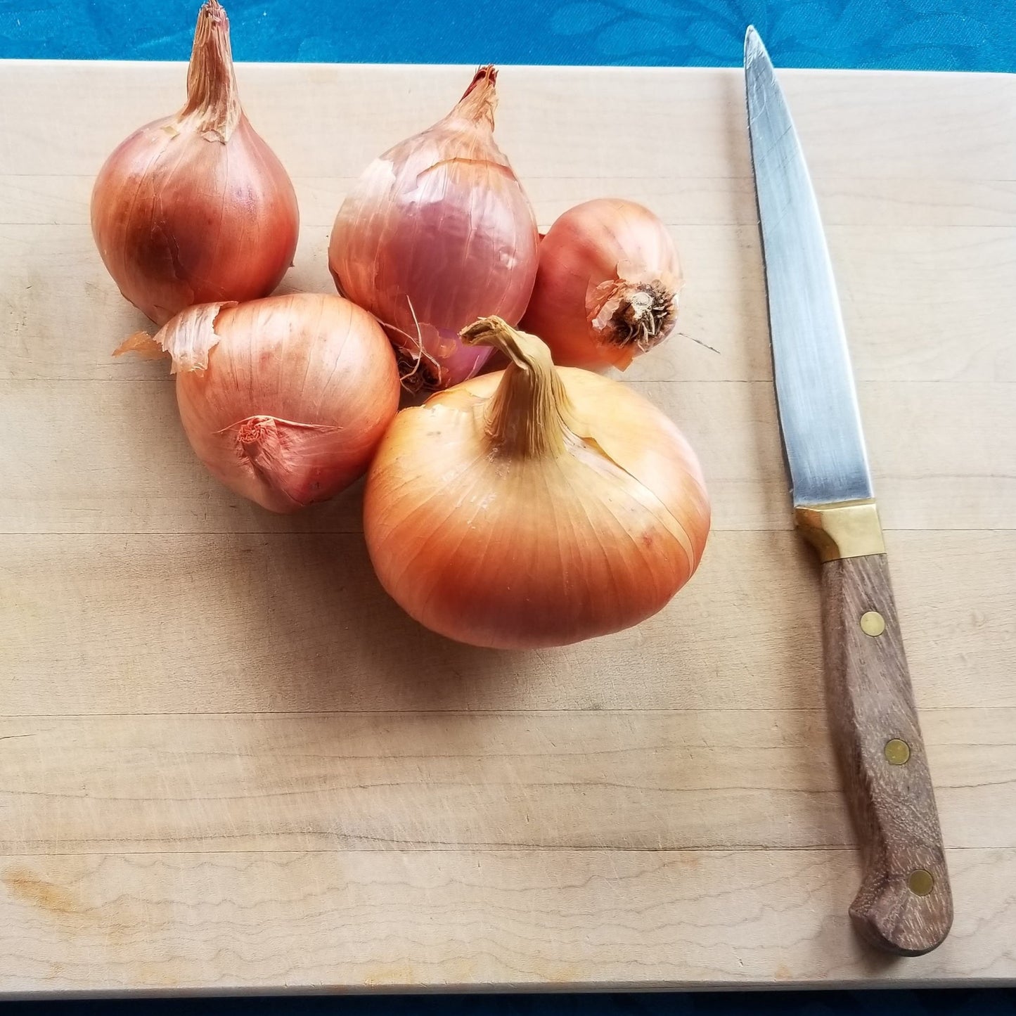 Multiplier onions