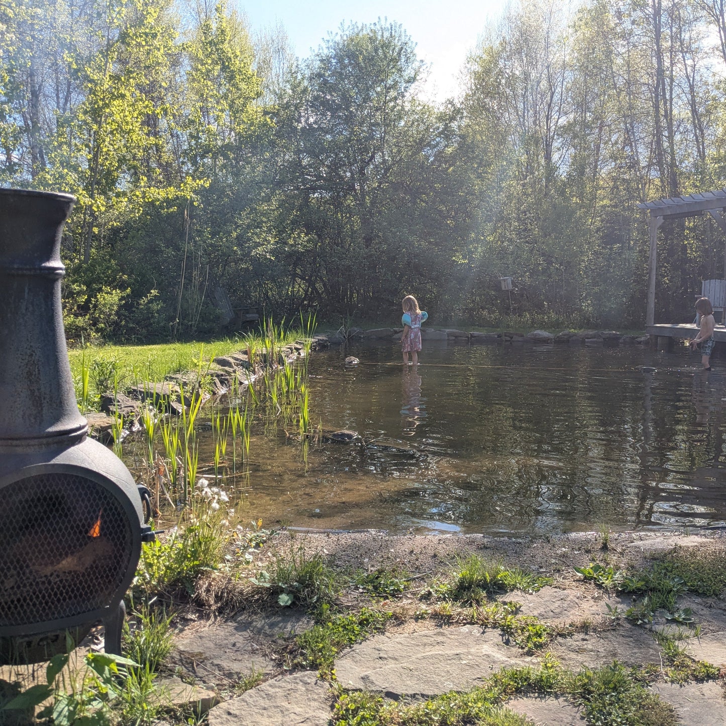 Designing a Natural Pond