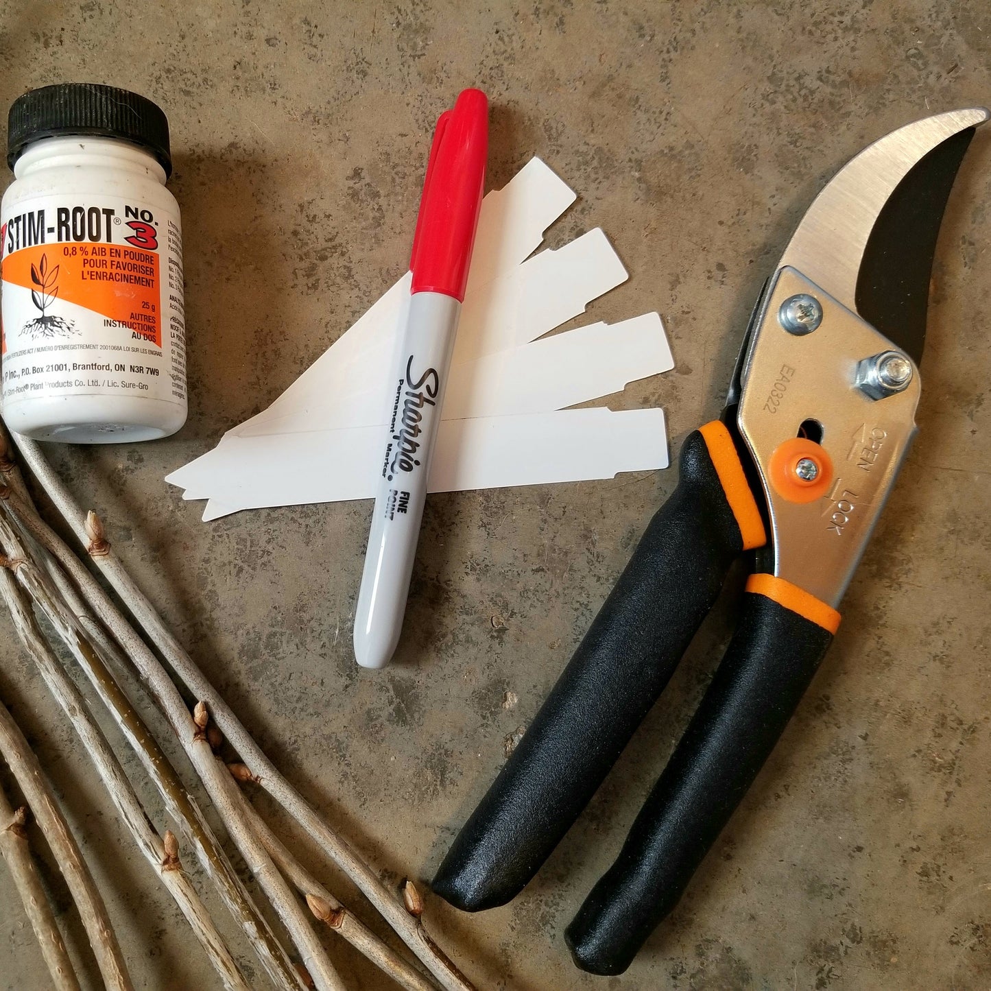 Propagation Workshop