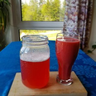Rhubarb