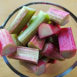 Rhubarb